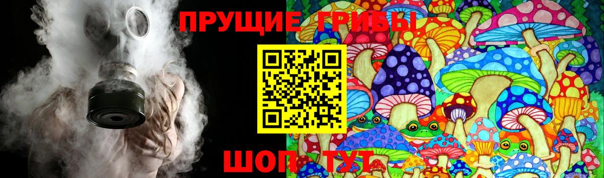 Галлюциногенные грибы Psilocybine cubensis  Вход с VPN  где можно купить   Кудрово 