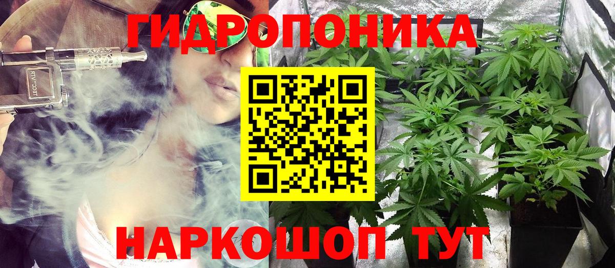 Каннабис White Widow Кудрово